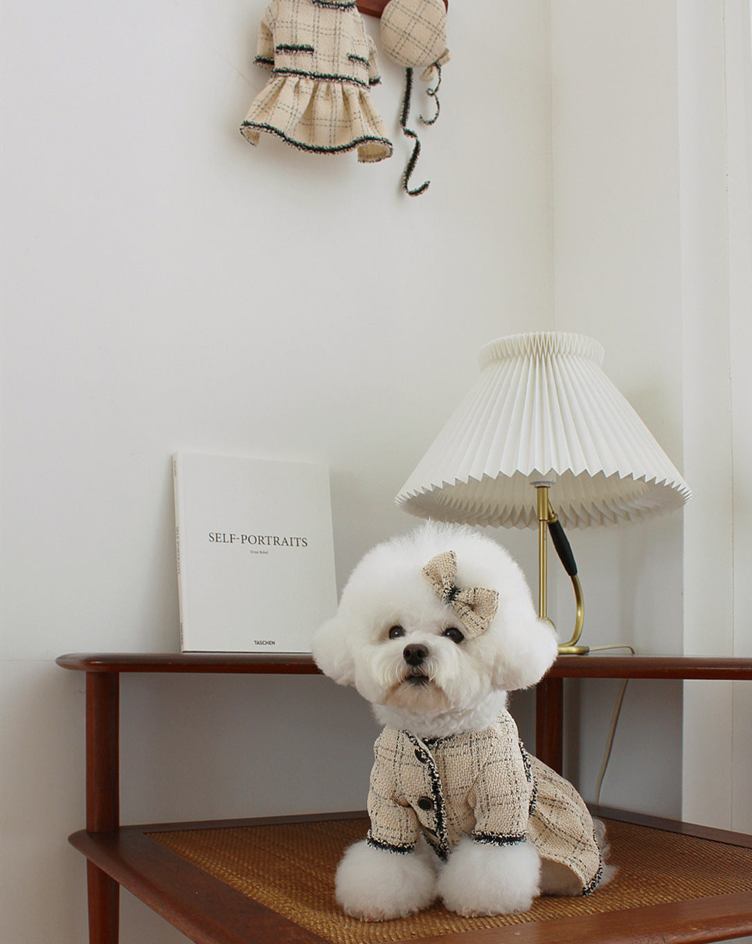 Chien avec une jupe princesse en coton beige, assis sur un meuble au style élégant, décor moderne.