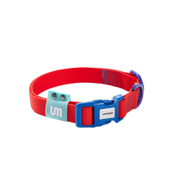 Collier étanche pour chien de taille M et S, couleur rouge avec boucle bleue, parfait pour les promenades en plein air.