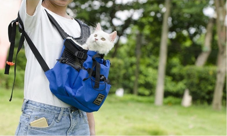 Sac à dos ventilé bleu pour transport de chats, alliant confort et sécurité pour vos animaux.