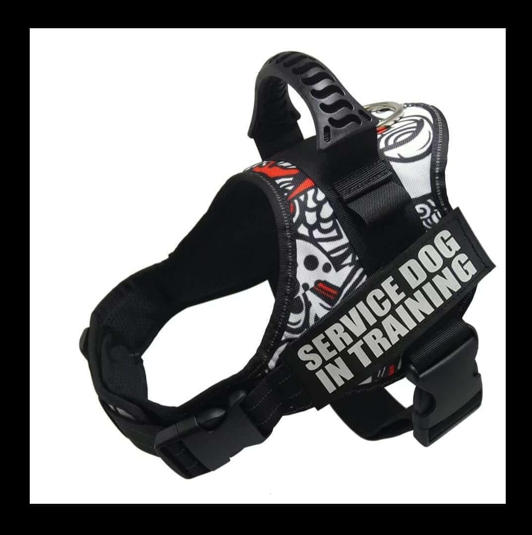 Harnais de poitrine pour chien avec motif graffiti, étiqueté 'Service Dog in Training'.