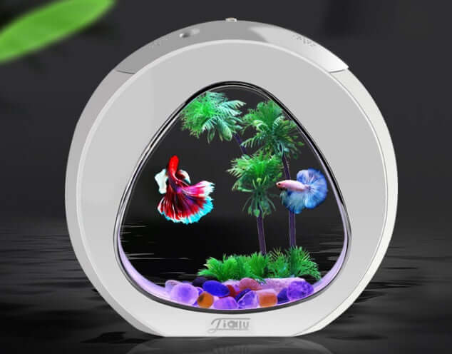 AquaDesign Aquarium de Bureau, a stylish acrylic fish tank with colorful fish and plants, ideal for home or office decor.
