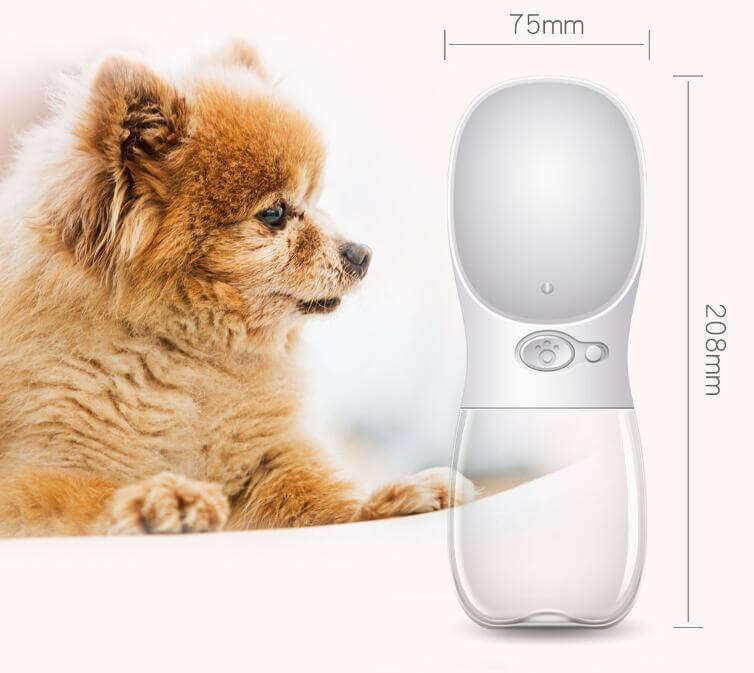 Gourde d'eau portable pour animaux avec un chien Pomeranian, idéale pour les sorties en plein air.
