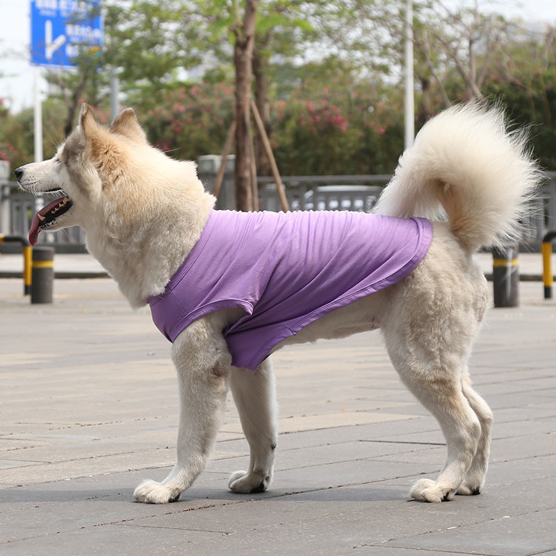Chien portant un gilet en coton violet, parfait pour l'été, sur une promenade en extérieur.