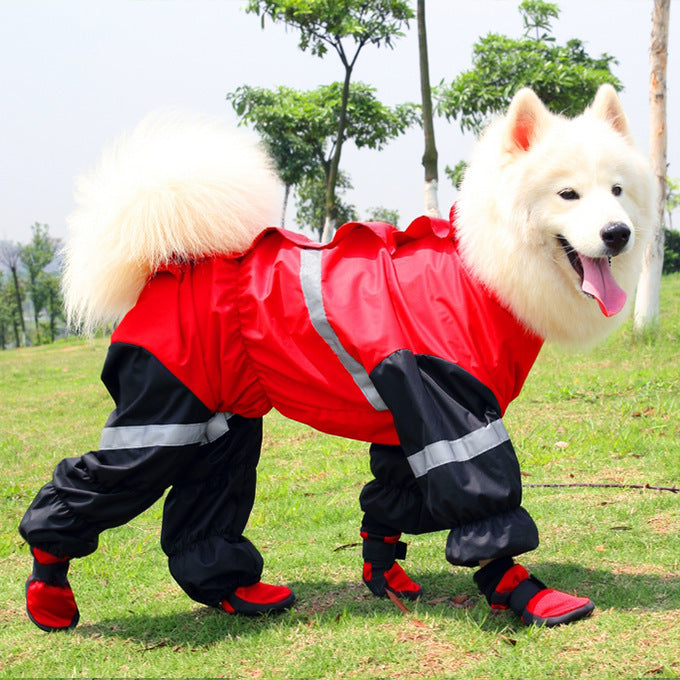 Chien samoyède portant une combinaison imperméable rouge avec bottes, prêt pour les promenades en plein air.