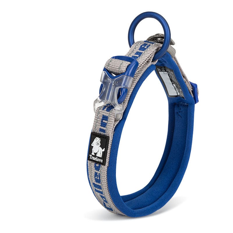 Harnais de collier pour chien grand en nylon bleu, idéal pour l'entraînement et la sécurité, confortable et durable.