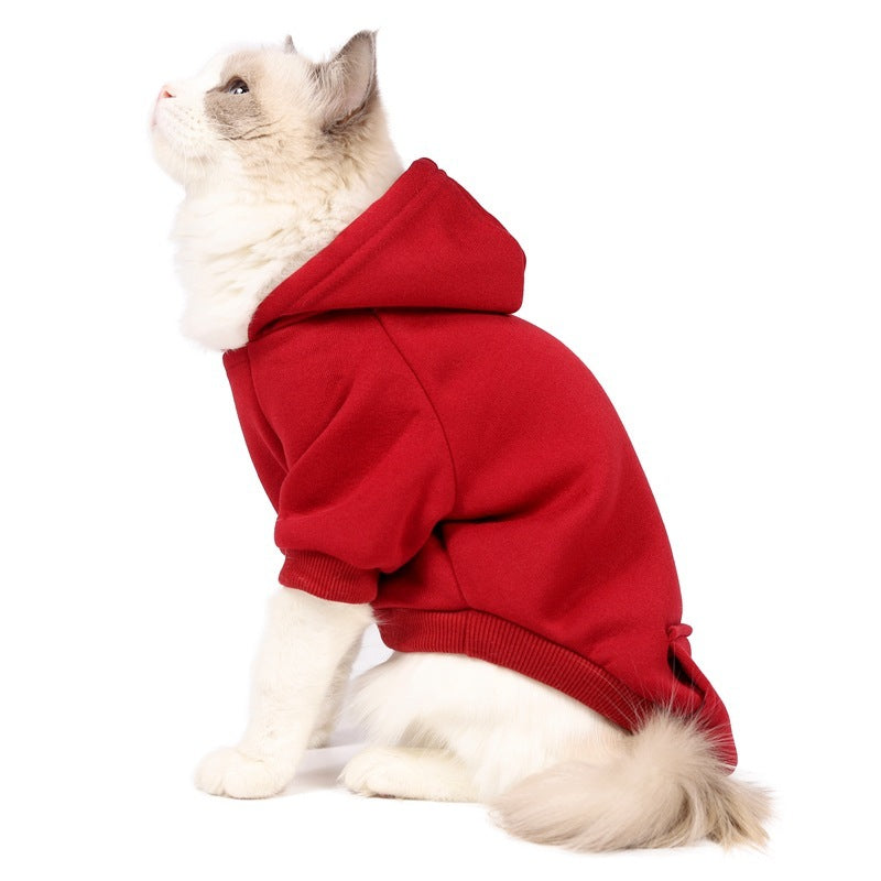 Chat portant un sweat à capuche rouge, alliant confort et style pour animaux.