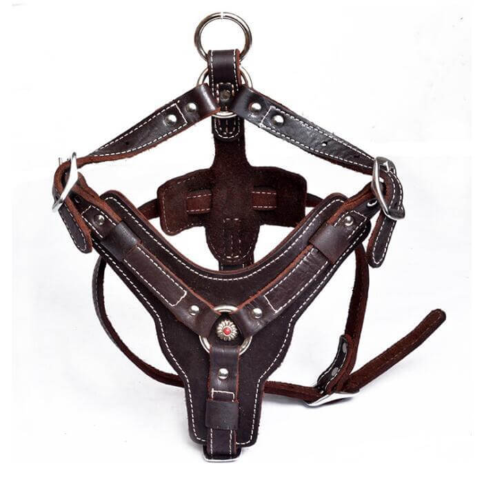 Harnais en cuir véritable pour chien, robuste et élégant, idéal pour des promenades confortables.