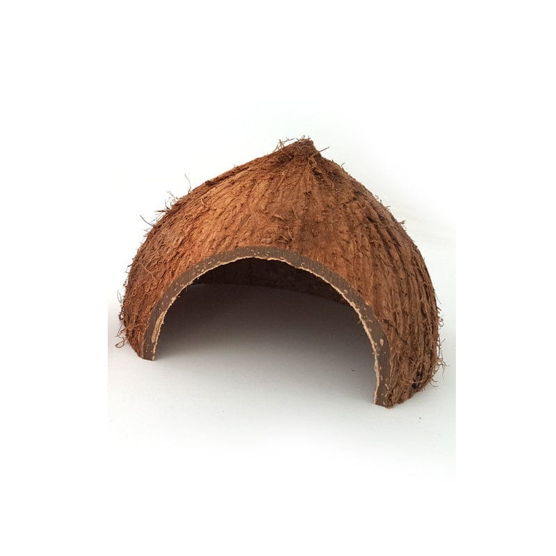 Cocon de Cachette Naturel pour Reptiles en Coquille de Coco