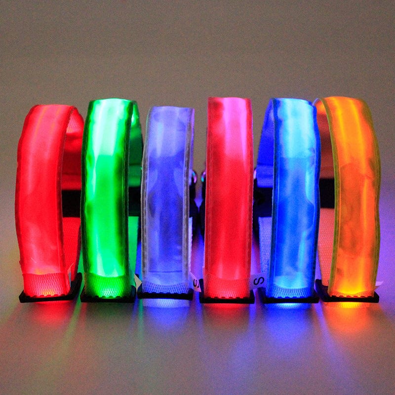 Colorful LED dog collars in red, green, blue, and pink, ideal for pet safety during nighttime walks.