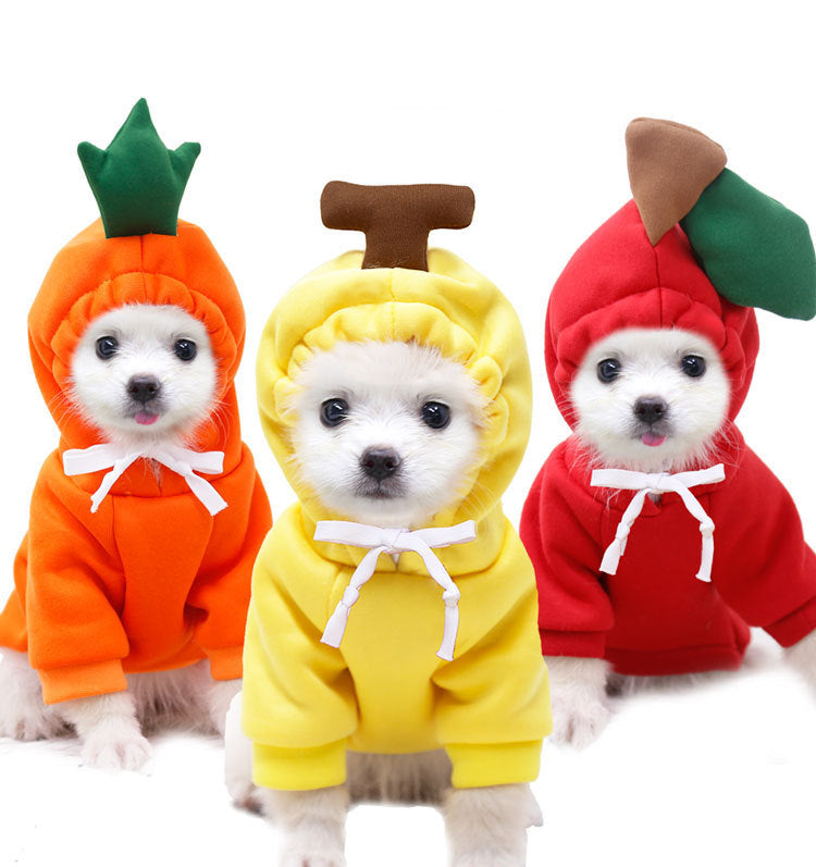 Chiens en vêtements colorés à capuche, style fruit, parfaits pour les animaux dans le confort et la mode.