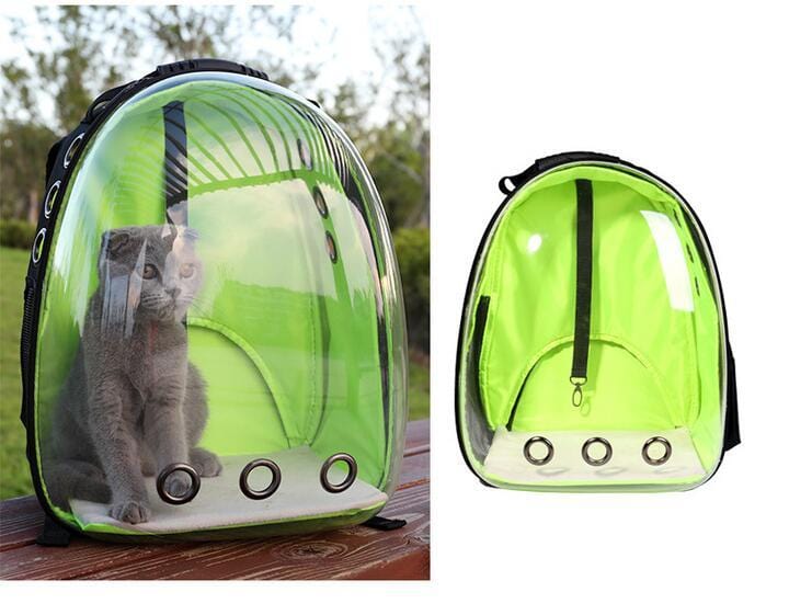 Sac à dos transparent pour animaux de compagnie avec un chat à l'intérieur et extérieur en vert fluo.