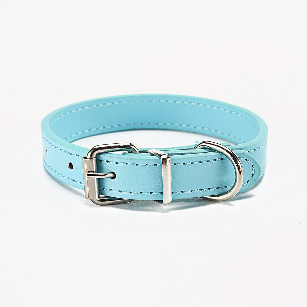 Collier pour chien en PU bleu clair, durable et élégant, adapté pour le confort et la sécurité des animaux.