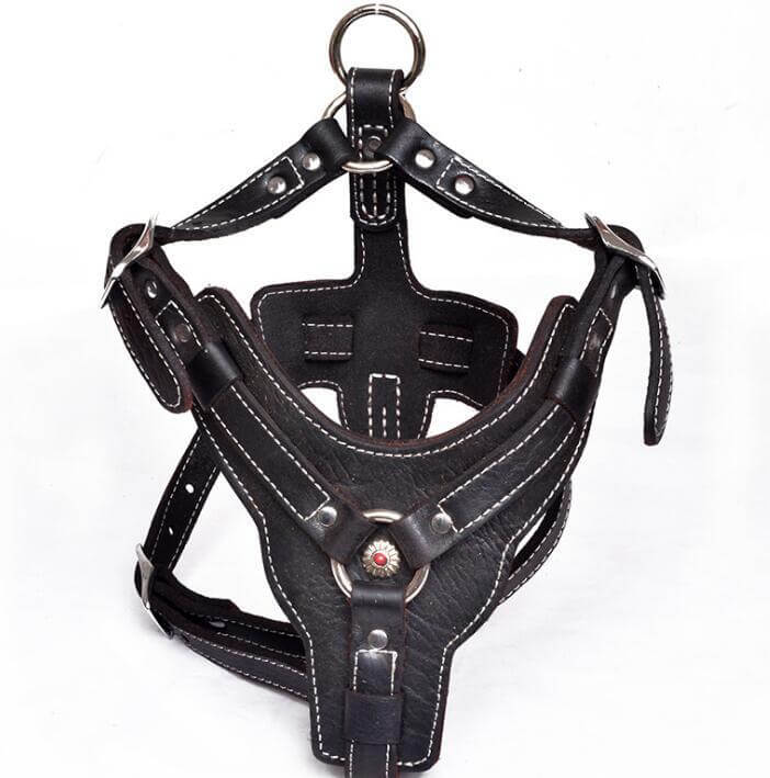 Harnais en cuir véritable pour chien, robuste et élégant, idéal pour les promenades.