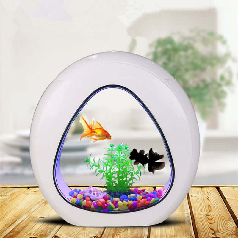 AquaDesign Aquarium de Bureau élégant en acrylique avec poissons colorés et plantes, idéal pour bureau ou maison.