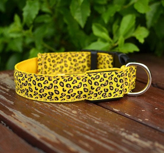 Collier LED ajustable en nylon léopard pour chien, offrant sécurité et style lors des promenades nocturnes.