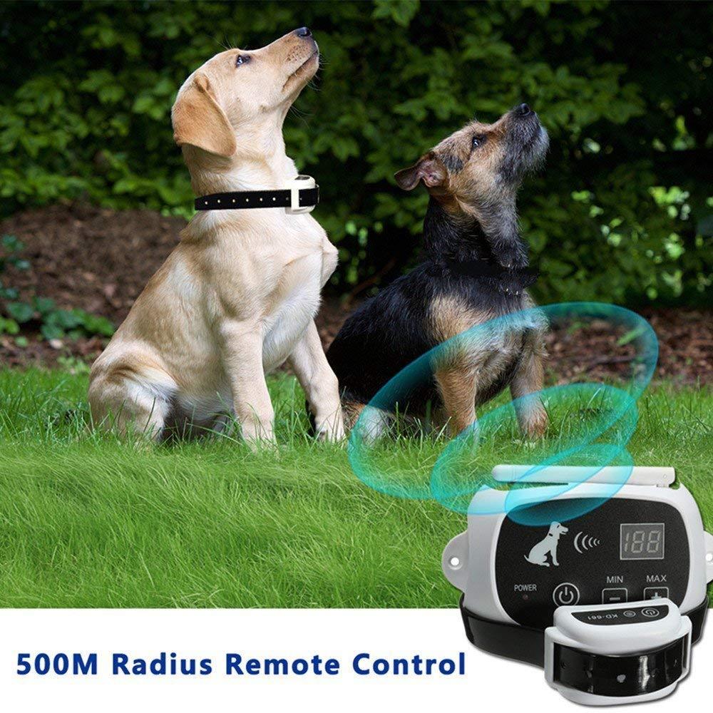 Système de clôture électronique sans fil pour animaux avec télécommande, deux chiens attentifs sur la pelouse.