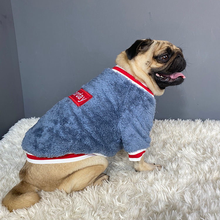 Pull en coton bleu pour chien, style décontracté, parfait pour le confort et la chaleur en saison fraîche.