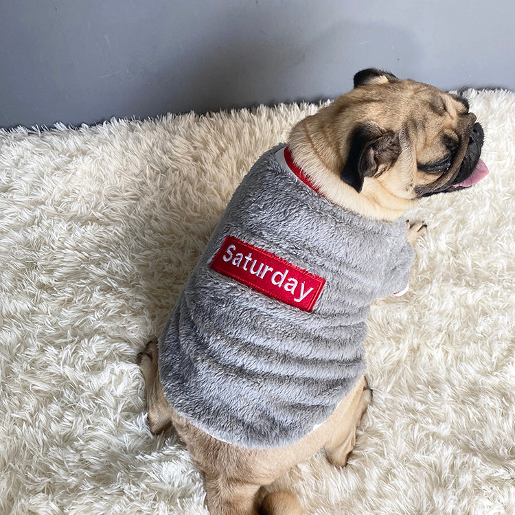 Chien en pull gris avec l'inscription 'Saturday' sur un fond moelleux, parfait pour le confort et le style.