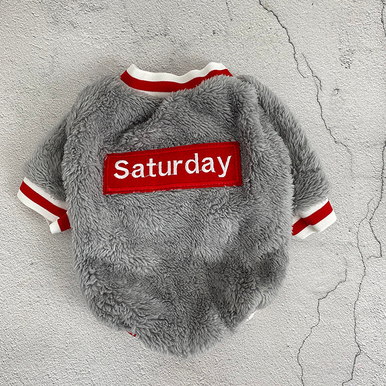 Pull pour chien gris avec inscription 'Saturday', parfait pour garder votre animal au chaud et stylé.