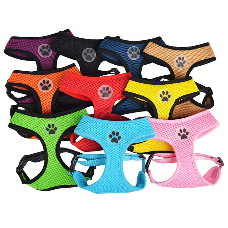 Collection de harnais de poitrine en maille respirante pour animaux, disponibles en plusieurs couleurs vives.