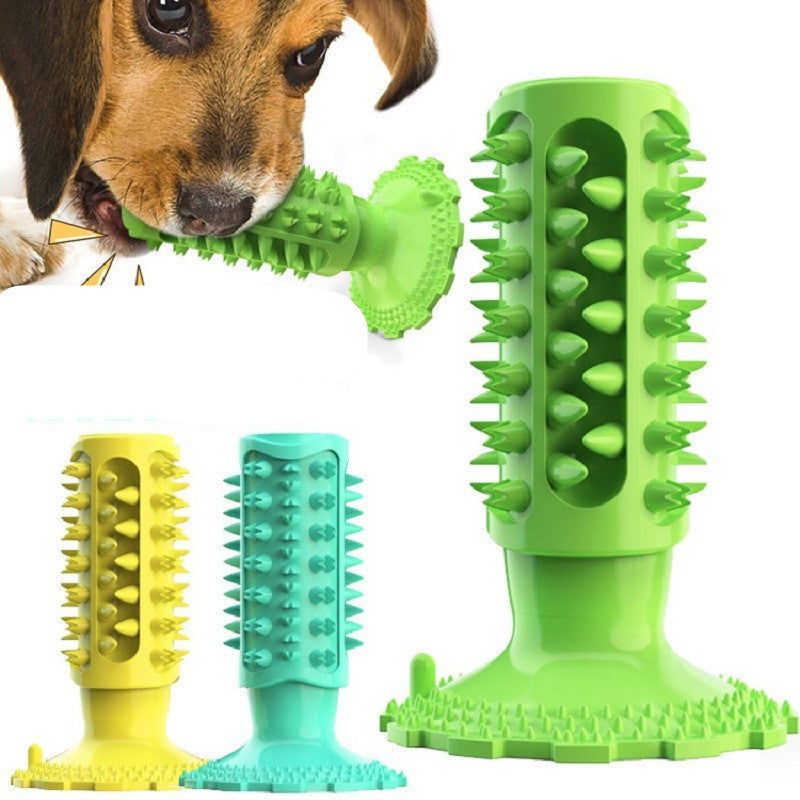 Brosse à Dents pour Chien Stick Molaire