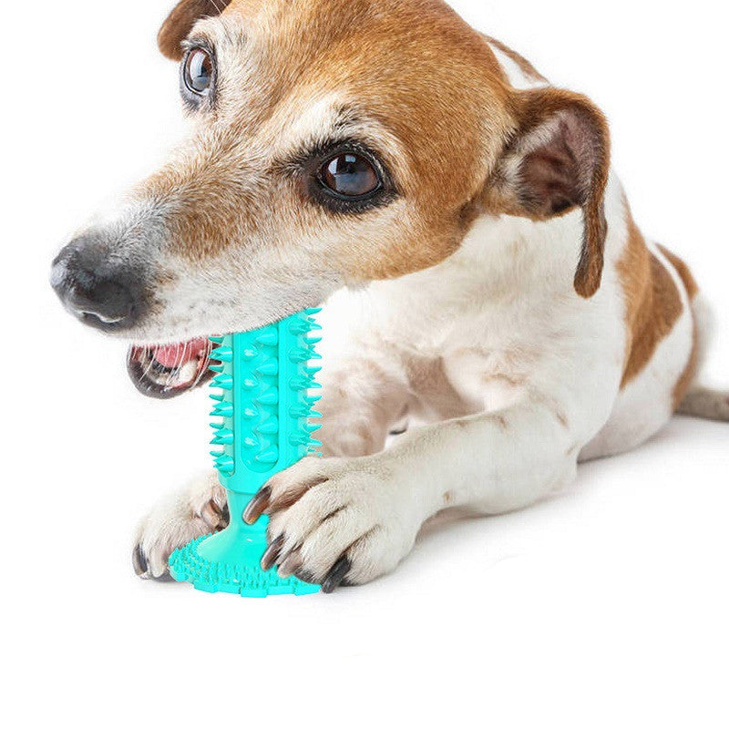 Brosse à Dents pour Chien Stick Molaire