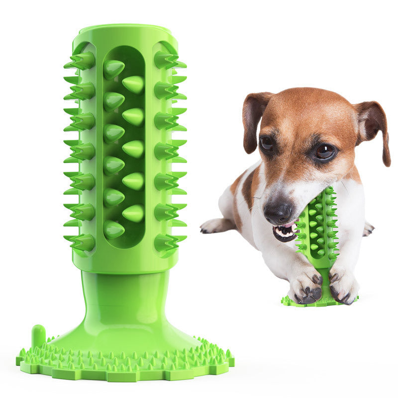 Brosse à Dents pour Chien Stick Molaire