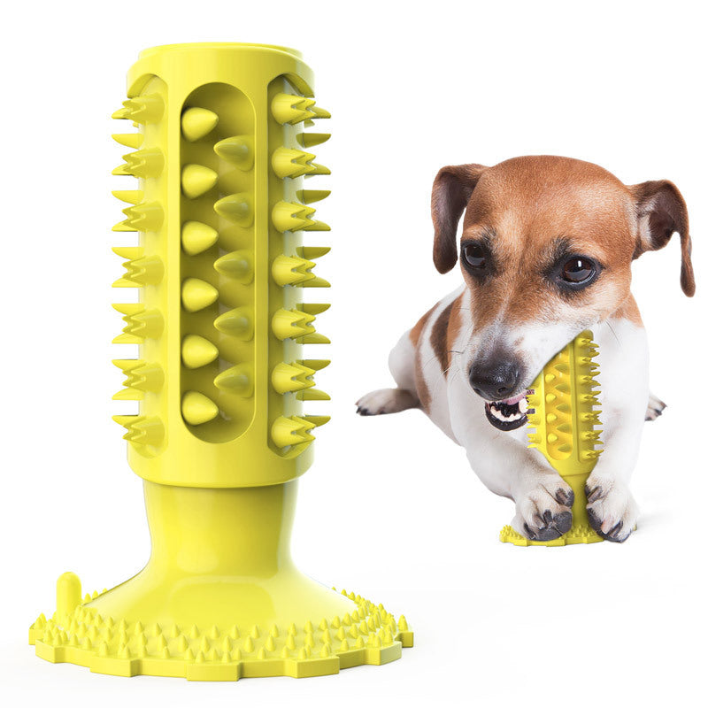 Brosse à Dents pour Chien Stick Molaire