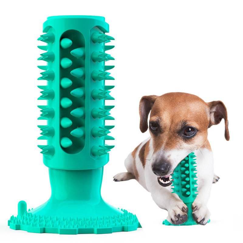 Brosse à Dents pour Chien Stick Molaire