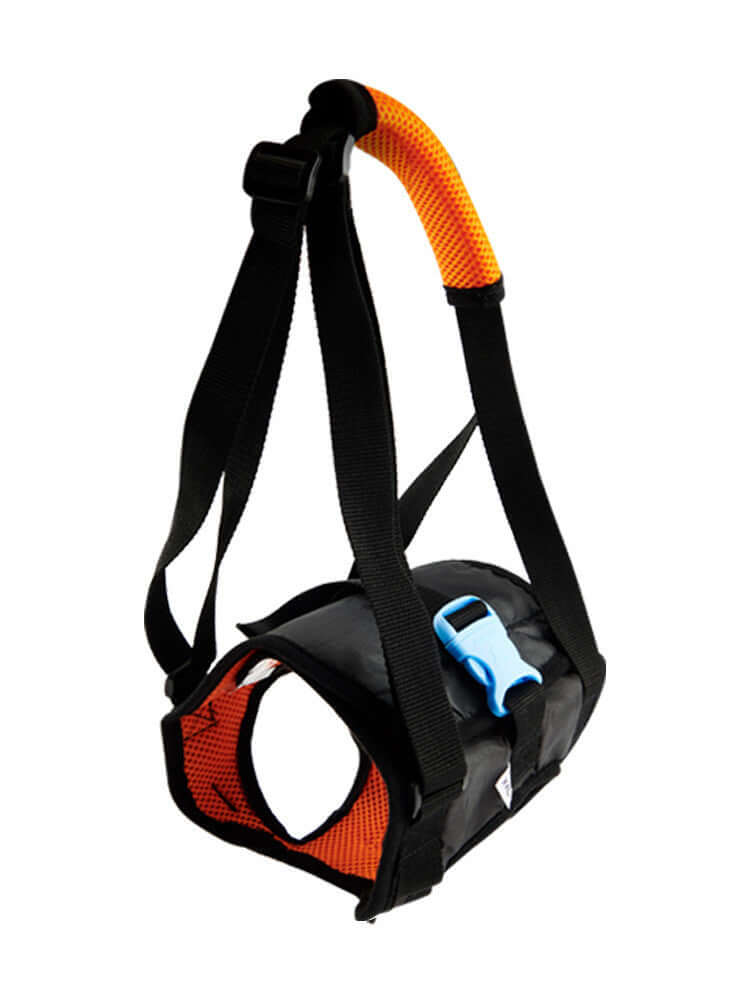 Harnais d'assistance pour chien handicapé avec poignées de soutien et ceinture élastique pour confort.