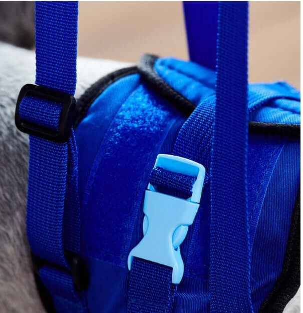 Détails du harnais d'assistance pour chien handicapé, boucles et sangles en bleu.