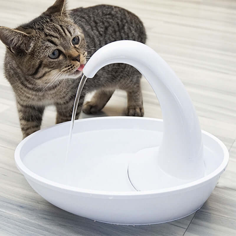 Fontaine à boire pour animaux avec chat buvant, modèle Swan, solution efficace pour eau fraîche.
