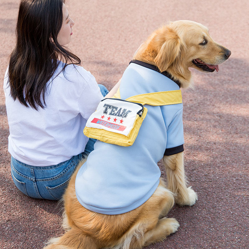 Fleece pull pour chien de taille moyenne, doré, assis avec son propriétaire, tendance et confortable.