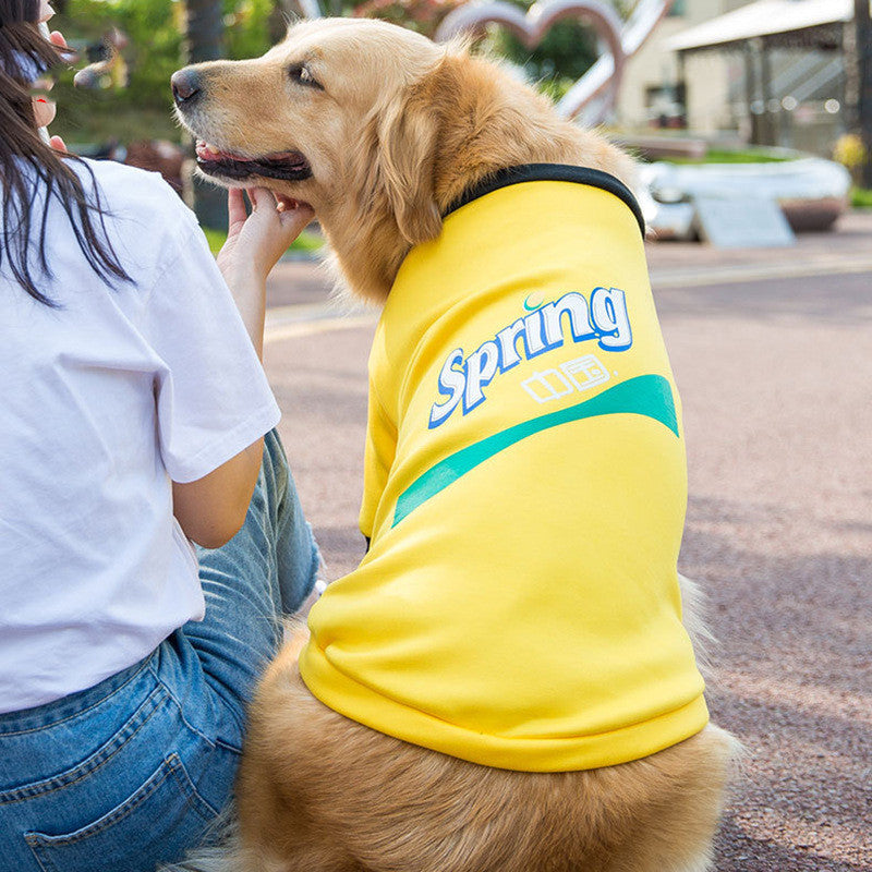 Golden retriever wearing a yellow fleece sweater with 'Spring' text, seated next to a person outdoors.