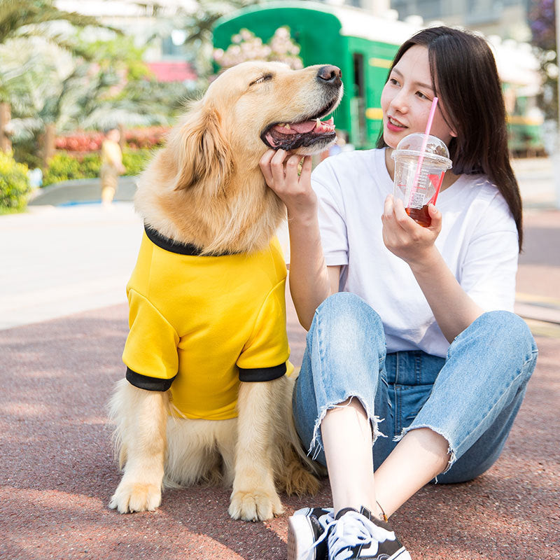 Femme souriante caressant un golden retriever en pull jaune, entourée de verdure dans un parc.