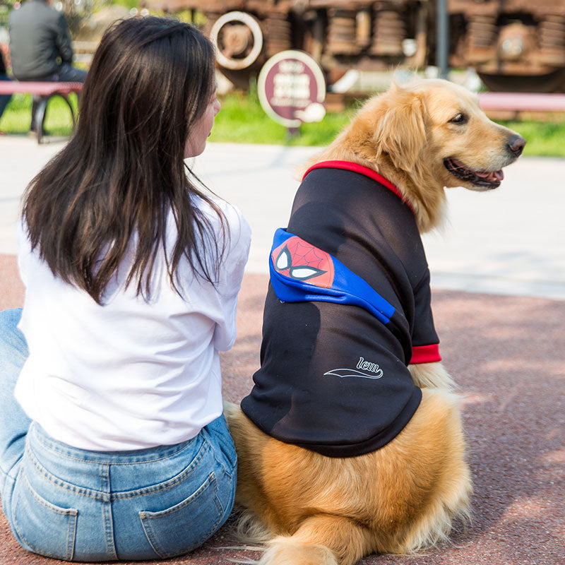 Golden retriever wearing a trendy fleece dog sweater, sitting by a woman in casual clothing outdoors.