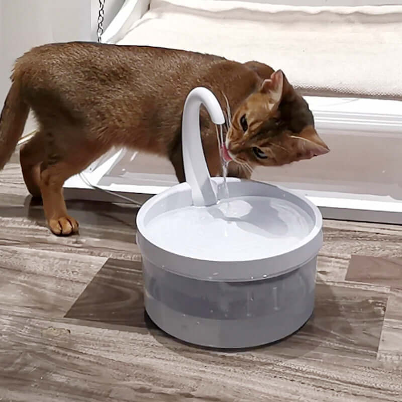 Chat en train de boire de l'eau d'une fontaine à eau pour chats de 2L, design moderne et durable.