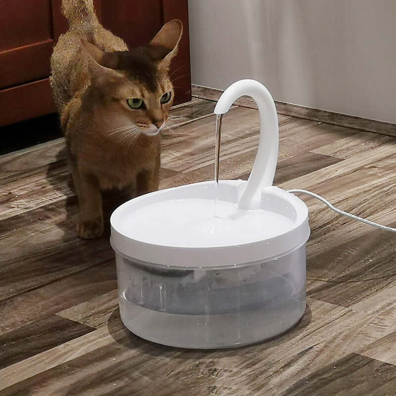 Fontaine à eau pour chats avec un design moderne, idéale pour garder votre animal hydraté.