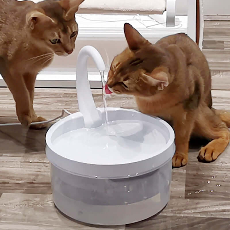 Deux chats buvant de l'eau d'une fontaine à eau conçue pour le bien-être animal.