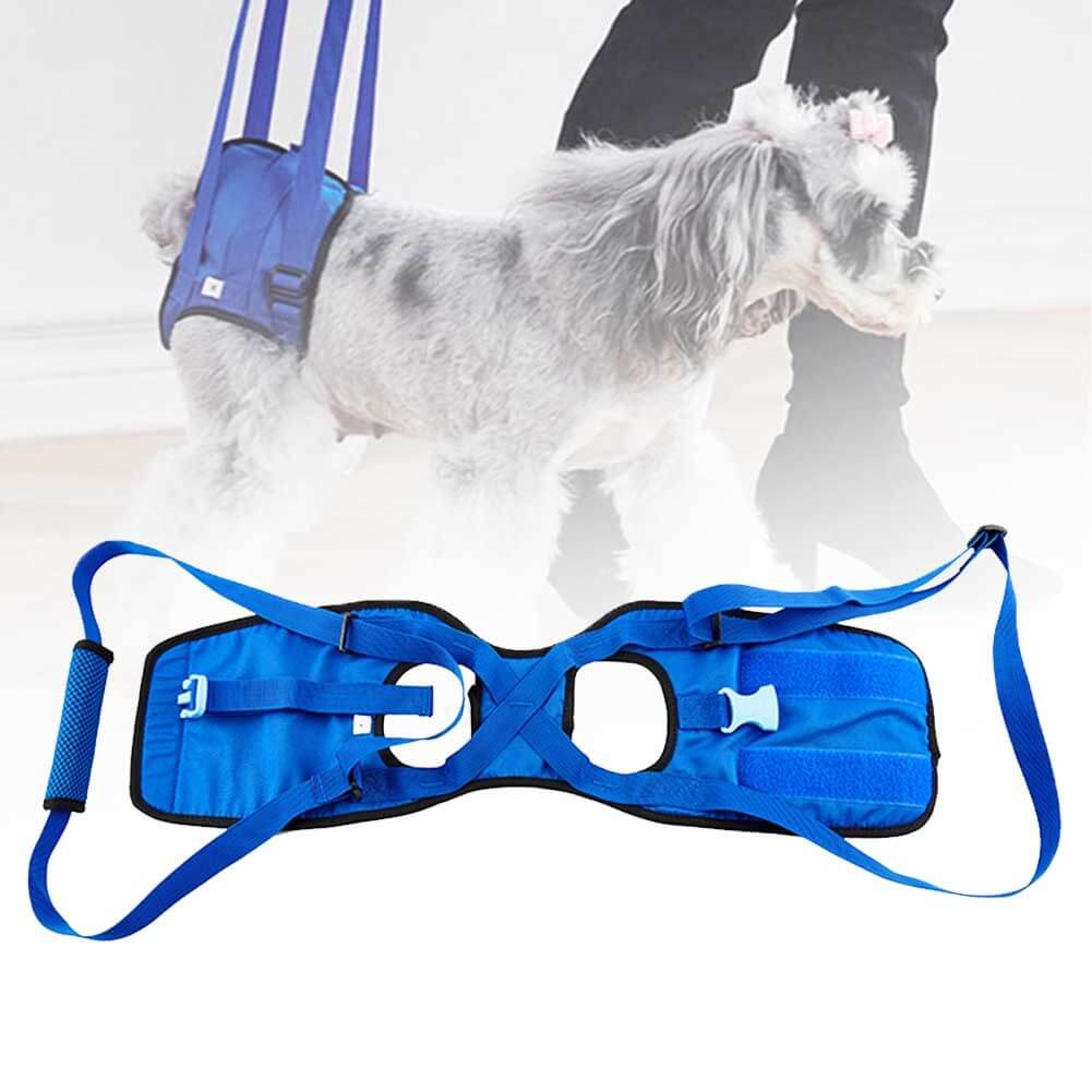 Harnais d'assistance pour chien handicapé, ceinture portable élastique pour mobilité des animaux