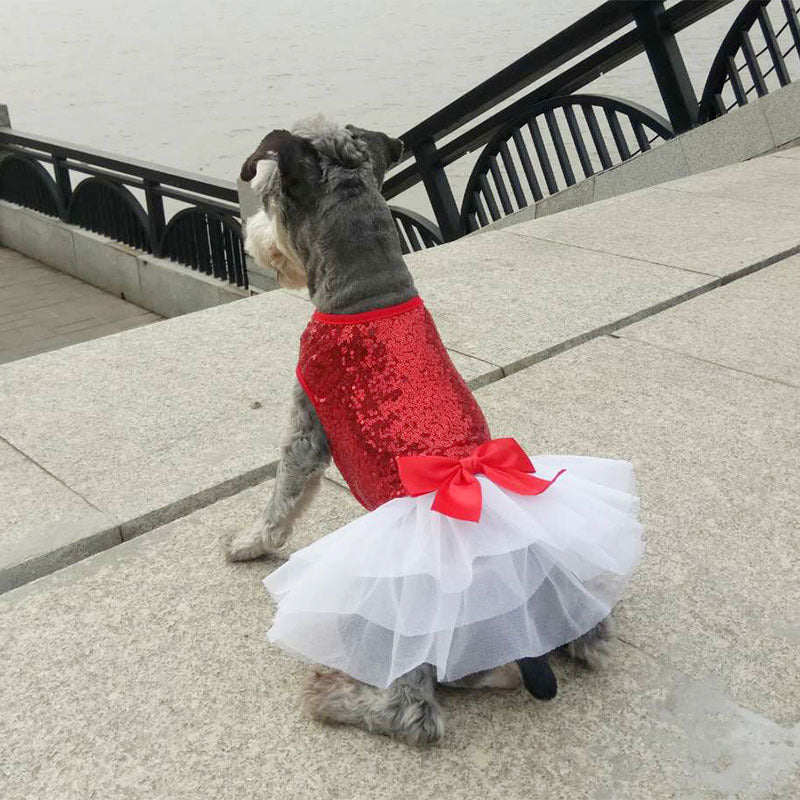 Chienne en jupe pailletée rouge et tulle blanc, parfait pour toutes les occasions, affichant style et confort.