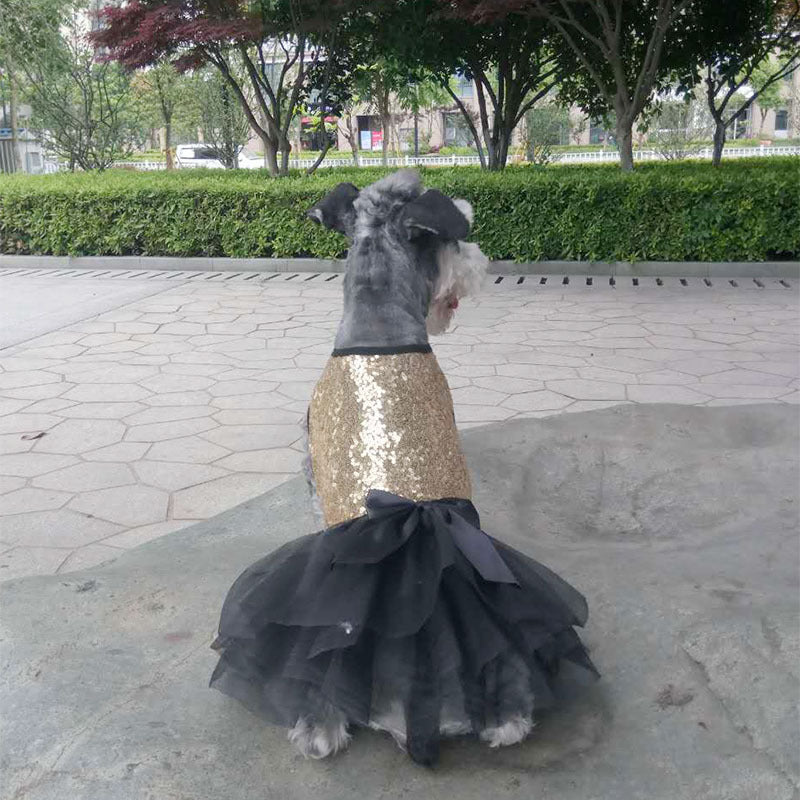 Chienne en jupe pailletée dorée avec jupe noire en tulle, style princesse, dans un parc.