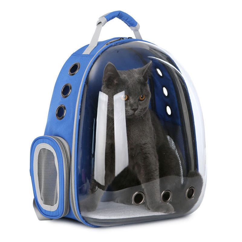 Sac à dos transparent pour animaux de compagnie, idéal pour chiens et chats, matériaux durables et respirants.