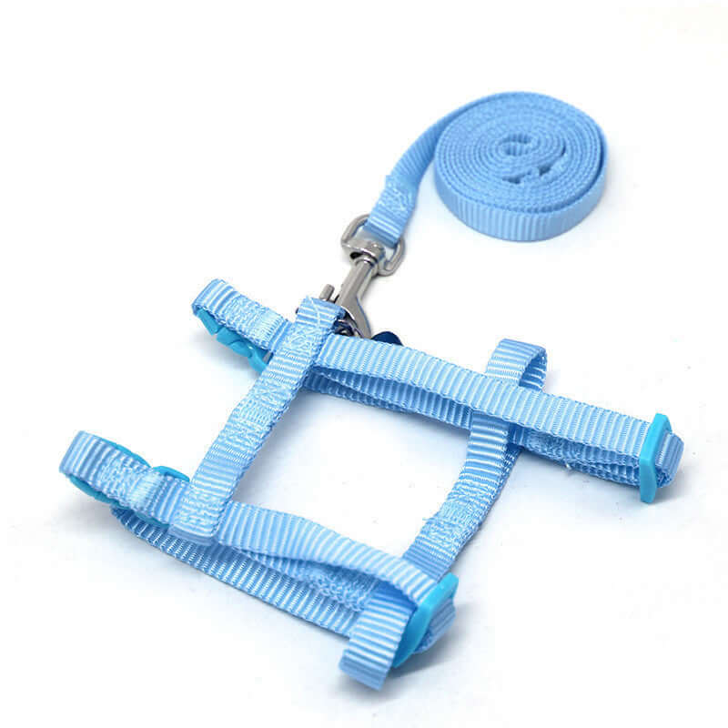 Blue rabbit harness and leash for safe outdoor adventures with your pet.