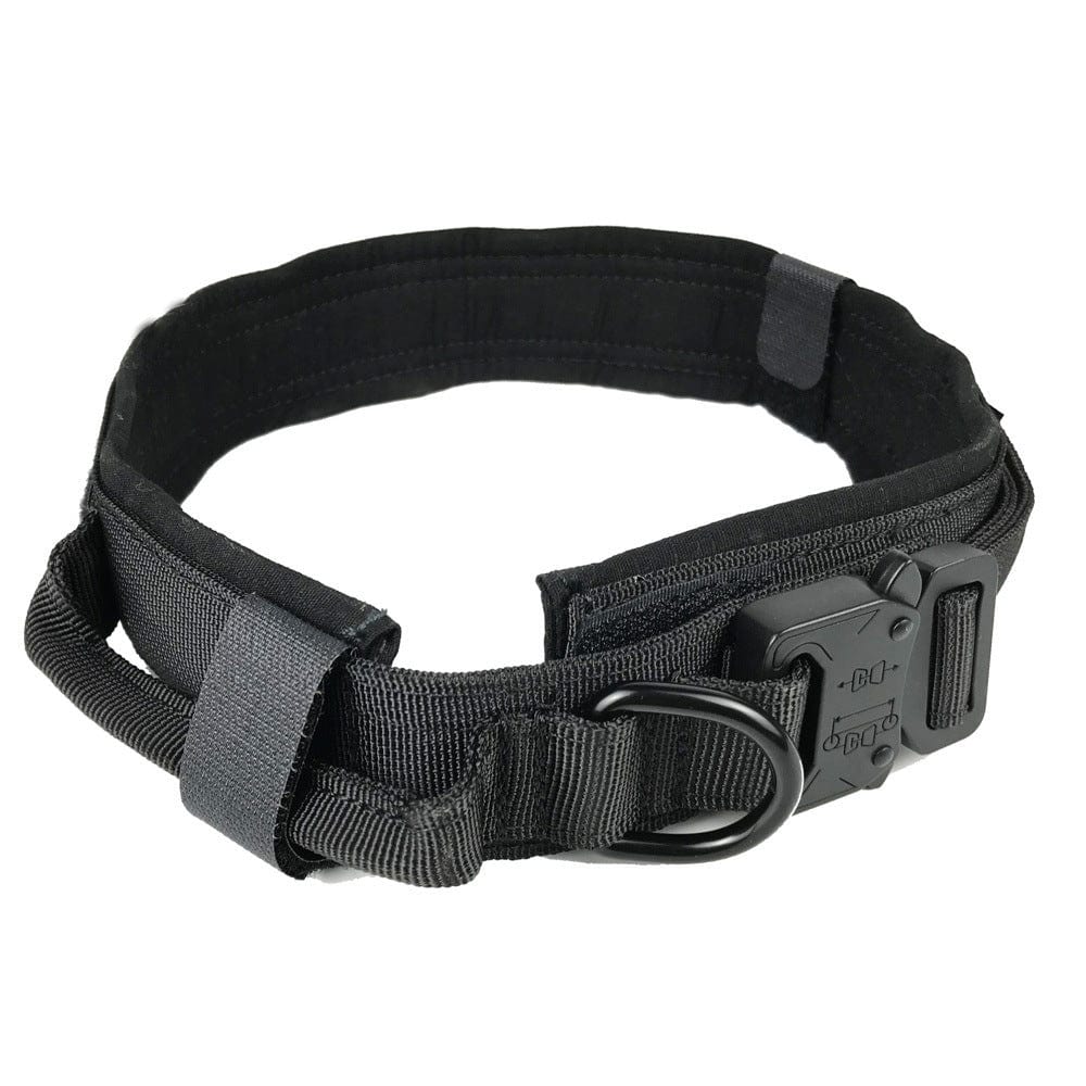 Collier tactique en nylon noir pour chien, robuste et confortable, parfait pour les aventures en plein air.