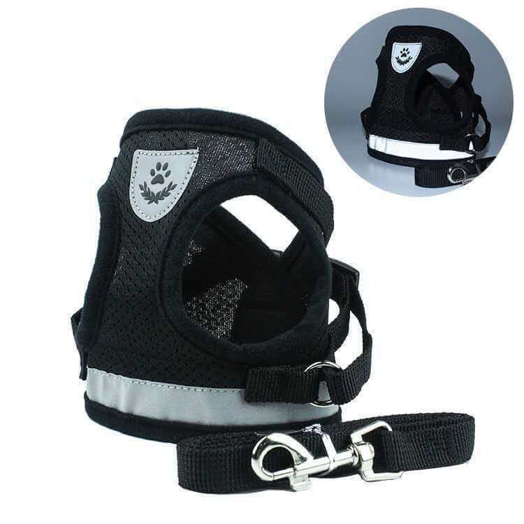 Harnais DogEZAsh Réfléchissant en Corde pour chiens, léger et confortable, idéal pour les promenades.