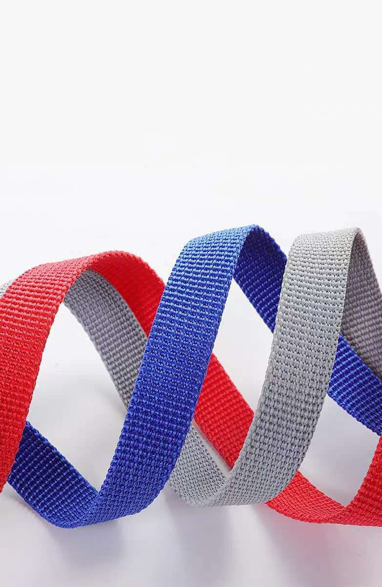 Corde en polyester colorée en rouge, bleu et gris, idéale pour harnais de sécurité pour chiens.