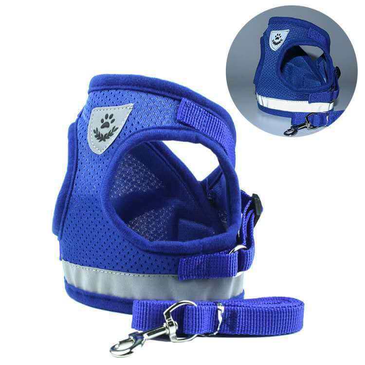 Harnais DogEZAsh Réfléchissant en Corde pour chiens, léger et respirant, couleur bleue avec sangle adaptable.