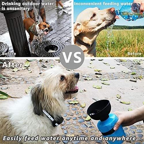 Comparative image showing benefits of a portable dog water bottle for easy hydration during outdoor trips.