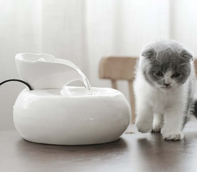 Distributeur d'eau automatique en porcelaine élégant pour chat, avec un chaton curieux à proximité.